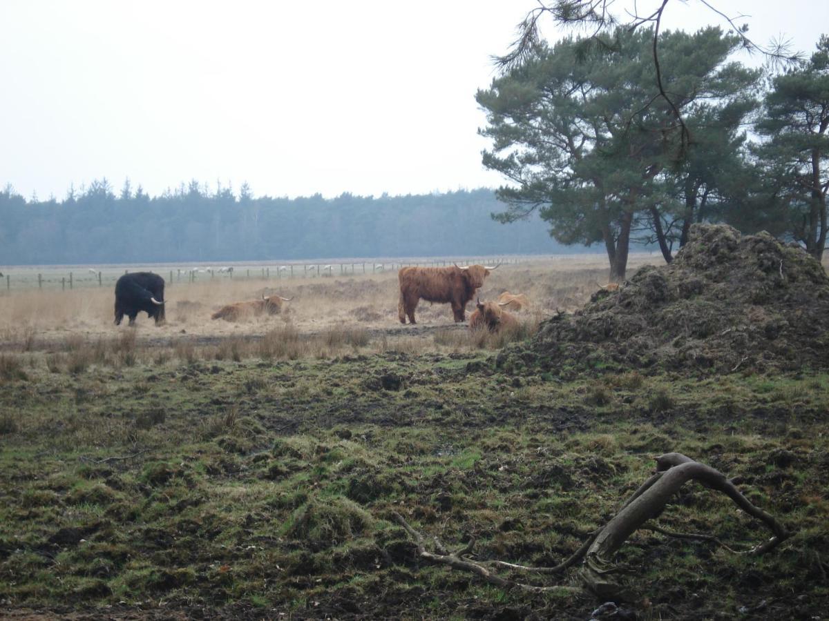 B&B De Eikenhorst Elsloo  Kültér fotó